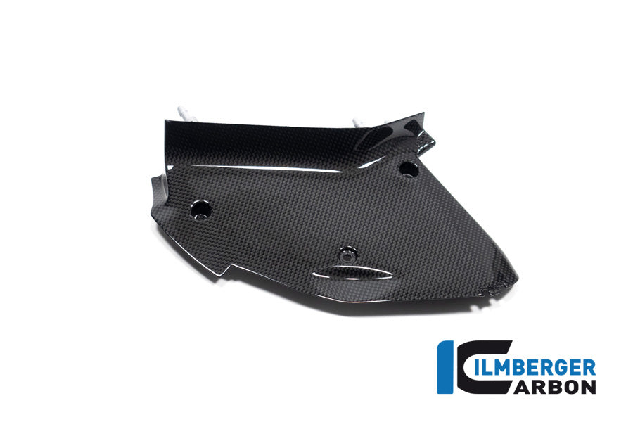Ilmberger Right Inner Airtube Cover for Ducati Diavel V4