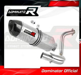 Dominator HP1 Slip-On Exhaust for BMW G 310 GS 2016-22