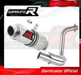 Dominator GP1 Slip-On Exhaust for BMW G 310 GS 2016-22
