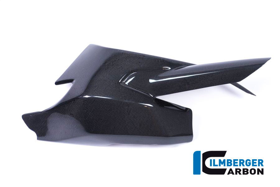 Ilmberger Carbon Fibre Swing Arm Cover For Ducati SuperSport