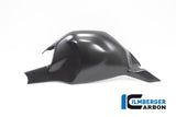 Ilmberger Carbon Fibre Swingarm Cover For Ducati Panigale V4 S 2022