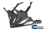 Ilmberger Carbon Fibre Bellypan for BMW M 1000 RR