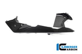 Ilmberger Carbon Fibre Right Upper Mudgard for BMW R 1250 GSA 2019-22