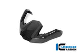Ilmberger Carbon Fibre Front Beak Extension for BMW R 1250 GSA 2019-22
