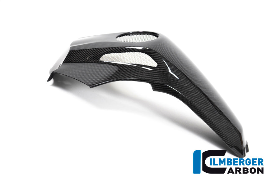 Ilmberger Carbon Fibre Tank Centre Panel For BMW R 1250 GSA 2019-22