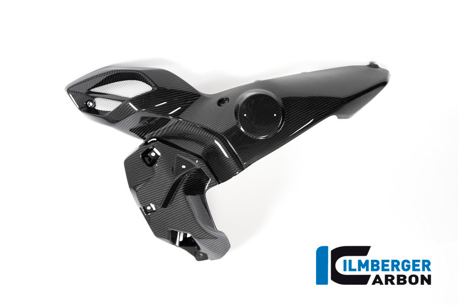 Ilmberger Carbon Fibre Left Airtube for BMW R 1250 GSA 2019-22