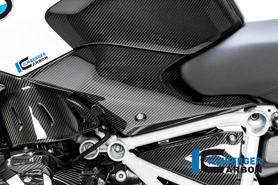 Ilmberger Carbon Fibre Left Side Panel For BMW R 1250 R 2019-22