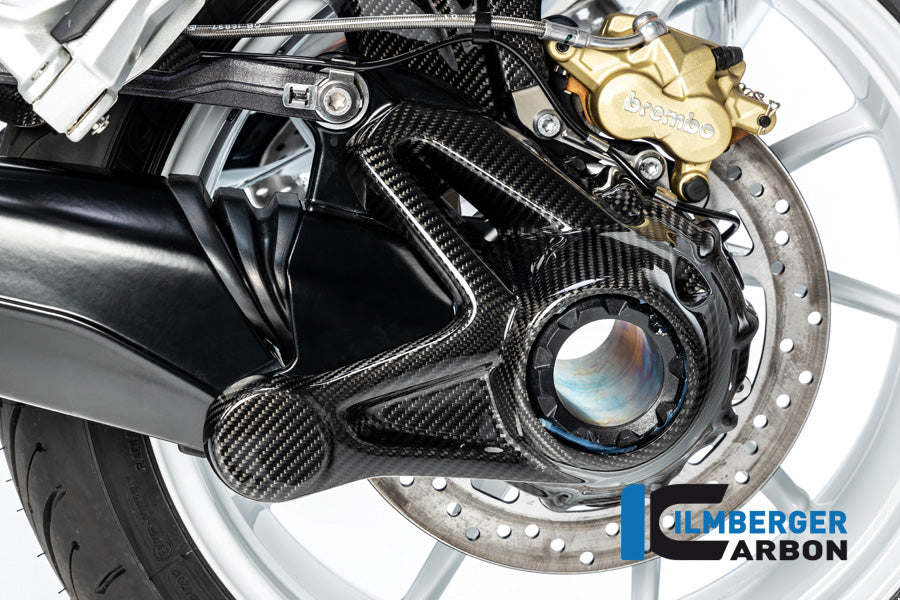 Ilmberger Carbon Fibre Bevel Drive Housing Protector For BMW R 1250 R 2019-22