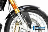 Ilmberger Carbon Fibre Front Fender For BMW R 1250 R 2019-22