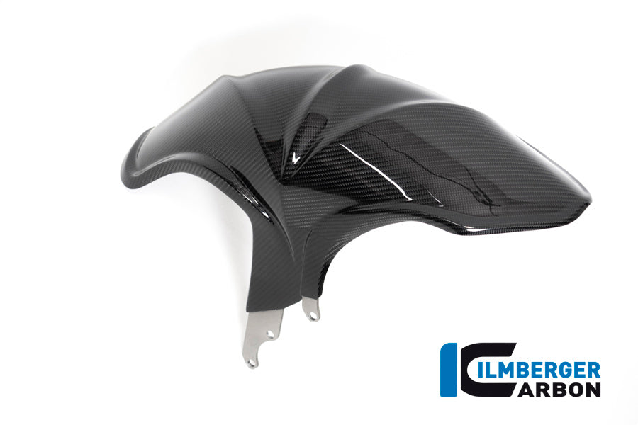 Ilmberger Carbon Fibre Rear Hugger For BMW R 1250 R 2019-22