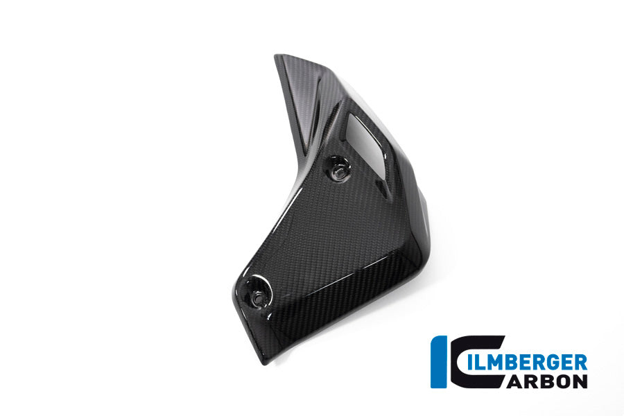 Ilmberger Carbon Fibre Right Watercooler Cover For BMW R 1250 R 2019-22