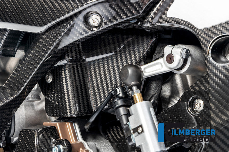 Ilmberger Carbon Fibre Electrical Cable Cover for BMW M 1000 RR