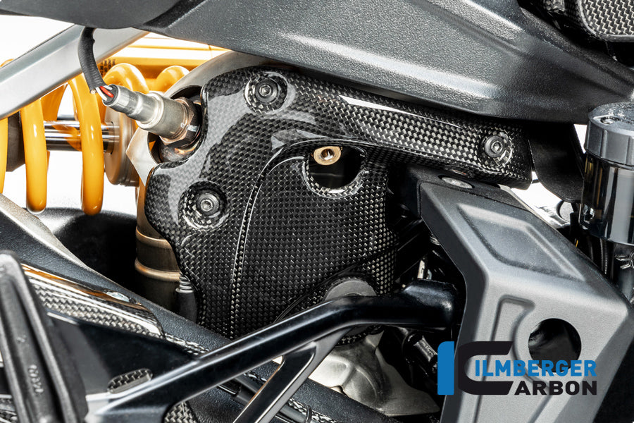 Ilmberger Carbon Fibre Manifold Exhaust Protection for Ducati Diavel 1260 2019-22