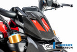 Ilmberger Carbon Fibre Instrument Cover for Ducati Diavel 1260 2019-22