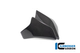 Ilmberger Carbon Fibre Right Radiator Cover for Ducati Diavel 1260 2019-22