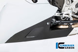 Ilmberger Carbon Fibre Bellypan For Ducati SuperSport