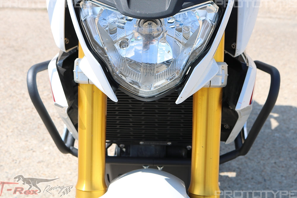 T-Rex Engine Guards for BMW G 310 R 2017-22