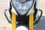 T-Rex Engine Guards for BMW G 310 R 2017-22