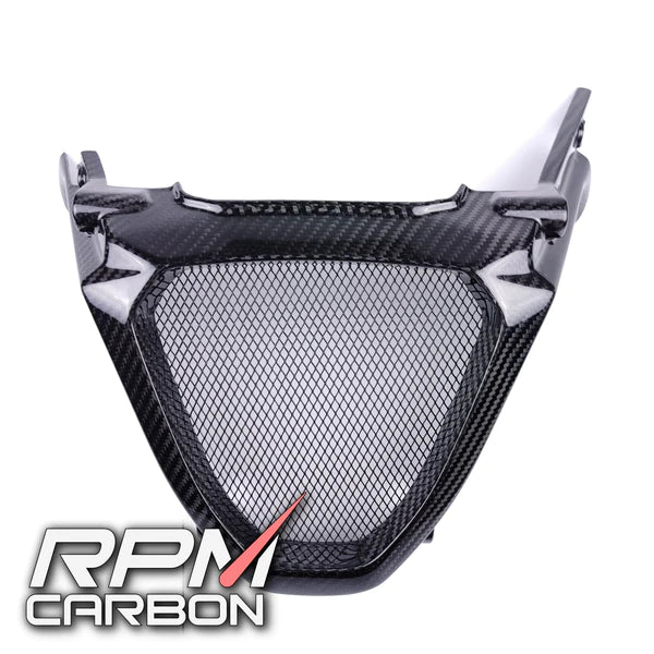 RPM Carbon Fiber Radiator Guard V-Panel For Aprilia RS 660
