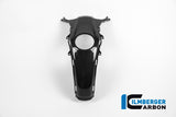 Ilmberger Carbon Fibre Tank Centre Panel For BMW R1200 RS 2015-22