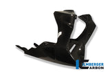 Ilmberger Carbon Fibre Bellypan for BMW K1300R 2008-22