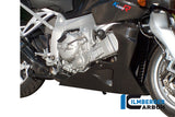 Ilmberger Carbon Fibre Bellypan for BMW K1300R 2008-22