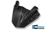 Ilmberger Carbon Fibre Windshield for BMW K1300R 2008-22