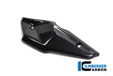 Ilmberger Carbon Fibre Injector Cover for BMW R NineT Scrambler 2016-22