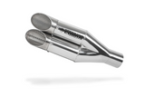 Cobra Ultraforce Slip-on Exhaust for BMW F 900 R