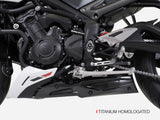 ZARD Full Exhaust System for Triumph Street Triple RS