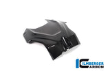 Ilmberger Upper Tank Cover for BMW S 1000 RR 2025