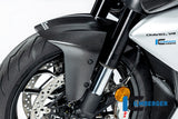 Ilmberger Front Fender for Ducati Diavel V4