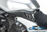 Ilmberger Left Cover Under The Tank for Ducati Diavel V4