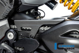 Ilmberger Chainguard for Ducati Diavel V4