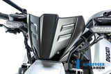 Ilmberger Windshield for Ducati Diavel V4