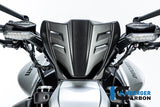 Ilmberger Windshield for Ducati Diavel V4