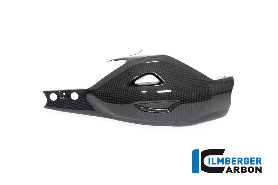 Ilmberger Swing Arm Cover for Ducati Diavel V4