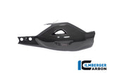 Ilmberger Swing Arm Cover for Ducati Diavel V4