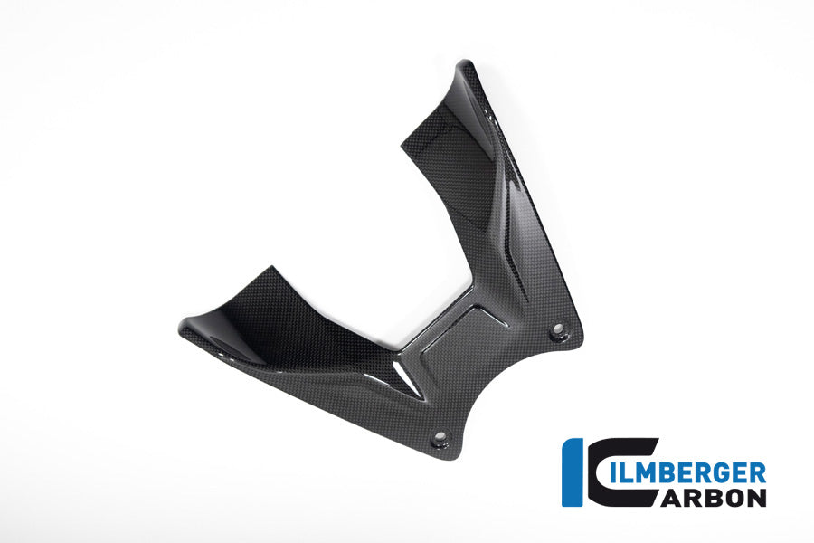 Ilmberger Tank Cover for Ducati Diavel V4
