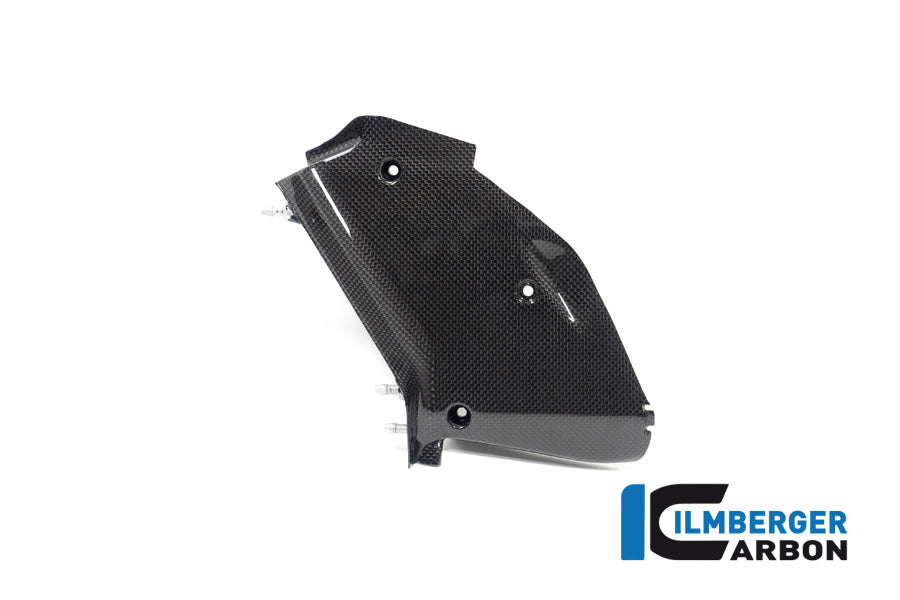 Ilmberger Left Inner Airtube Cover for Ducati Diavel V4