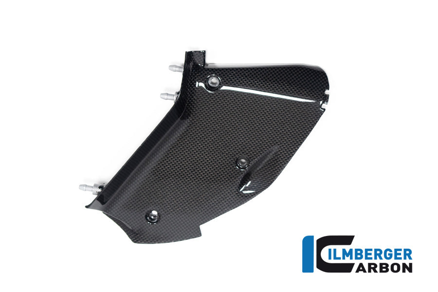 Ilmberger Right Inner Airtube Cover for Ducati Diavel V4