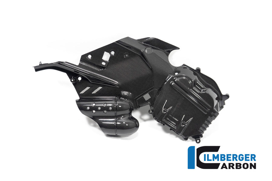 Ilmberger Left Cam Cover for Ducati Diavel V4