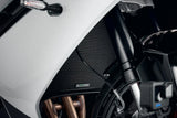 Evotech Performance Radiator Guard for Triumph Daytona 660