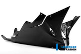 Ilmberger Carbon Fibre Belly Pan for BMW S1000RR 2018