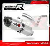 Dominator HP1 Slip-On Exhaust for BMW G 310 R 2016-22