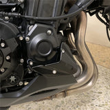 Engine Case Sliders Protector For Kawasaki Z900