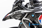 Ilmberger Carbon Fibre Left Upper Mudgard for BMW R 1250 GSA 2019-22