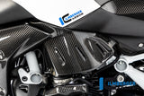 Ilmberger Carbon Fibre Left Side Panel For BMW R 1250 R 2019-22