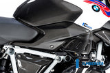 Ilmberger Carbon Fibre Right Side Panel For BMW R 1250 R 2019-22