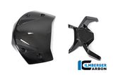 Ilmberger Carbon Fibre Windshield For BMW R 1250 R 2019-22